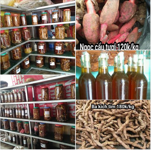 Tiêu chuẩn rượu thuốc: Mò kim đáy biển? - ảnh 3